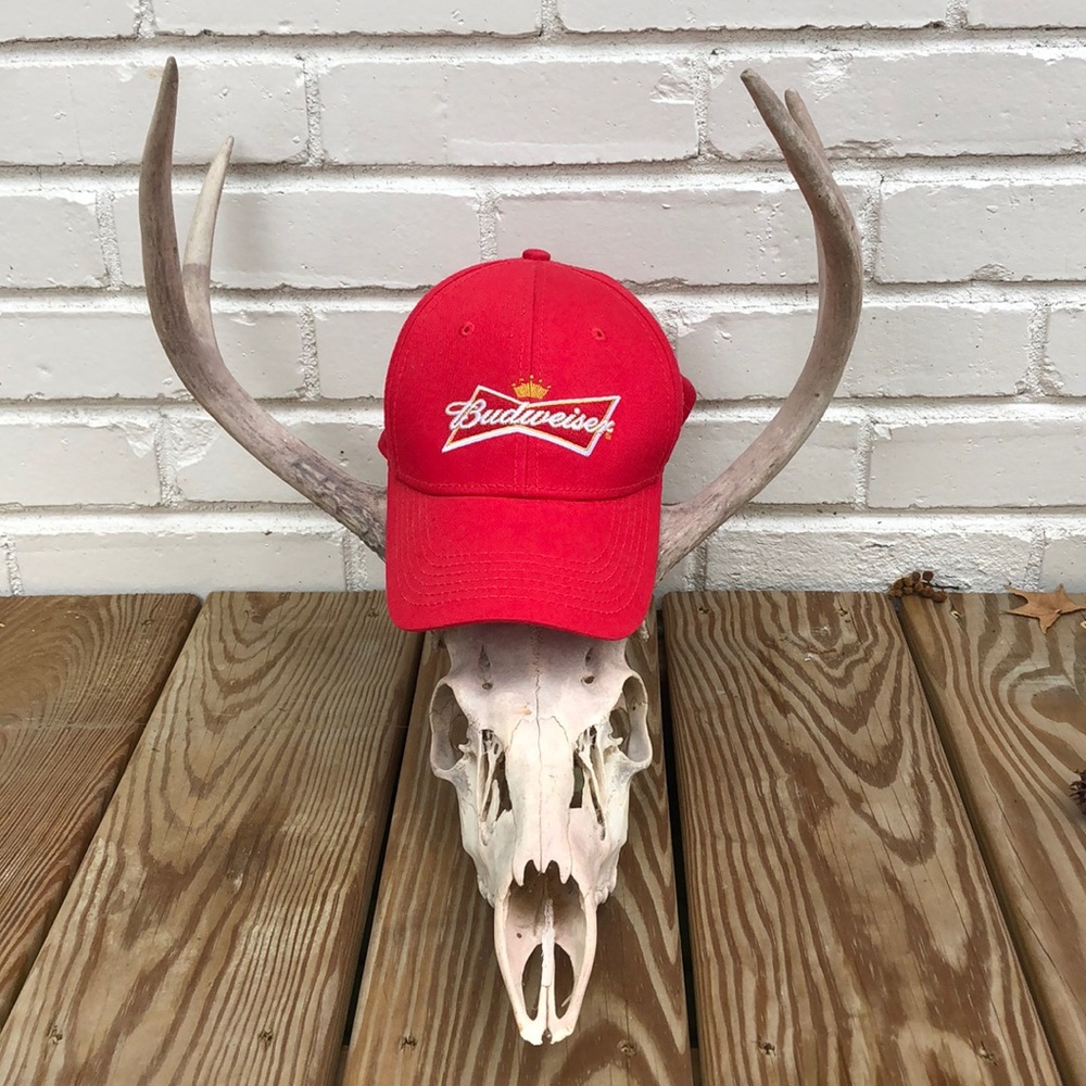 Budweiser hat